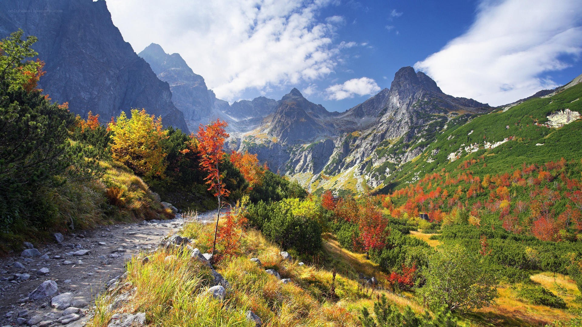 Autumn mountain valley landscape