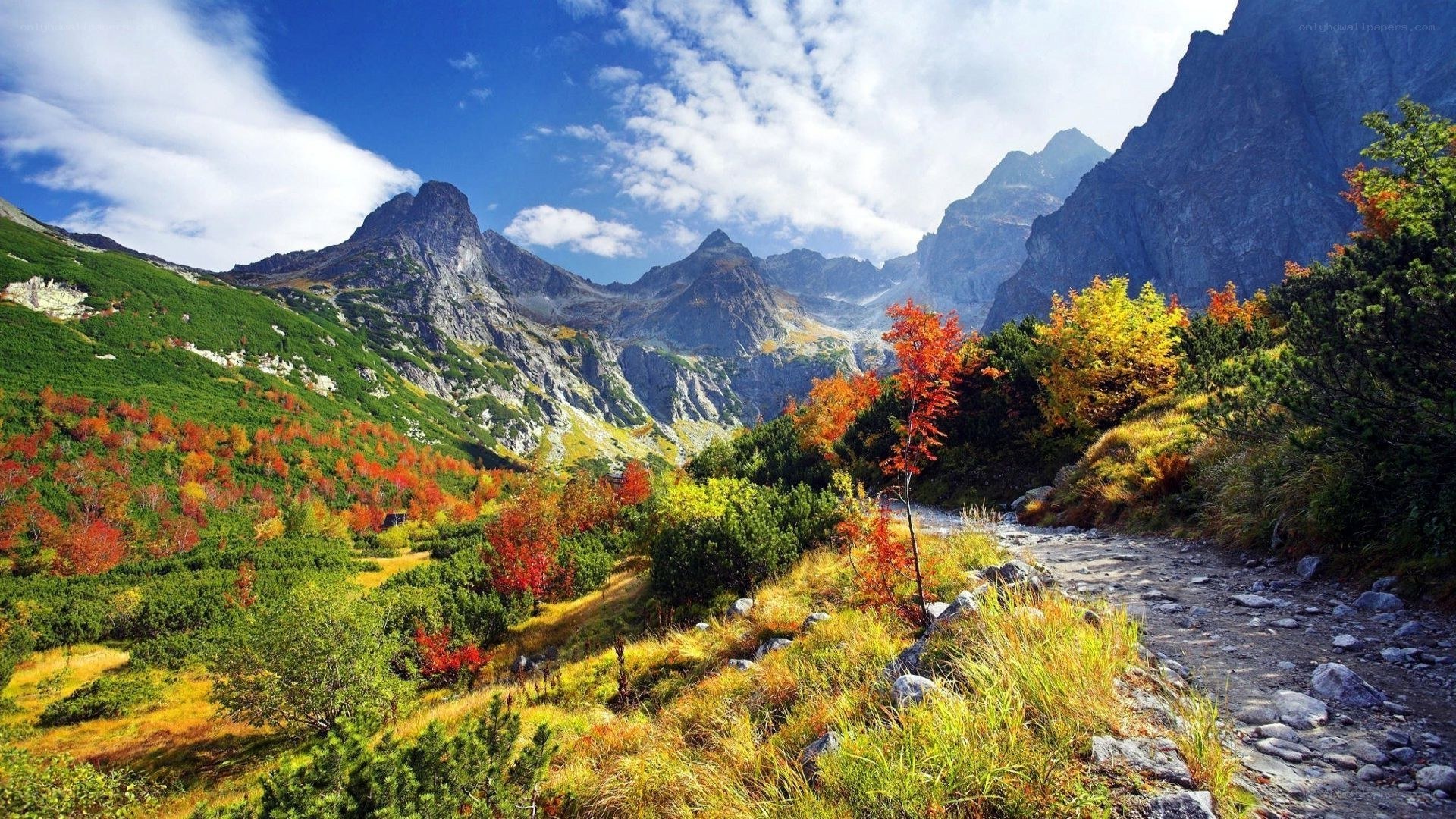 Autumn mountain valley landscape