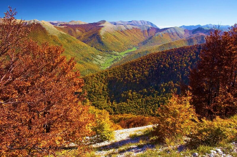 Autumn Mountain Valley — Orange