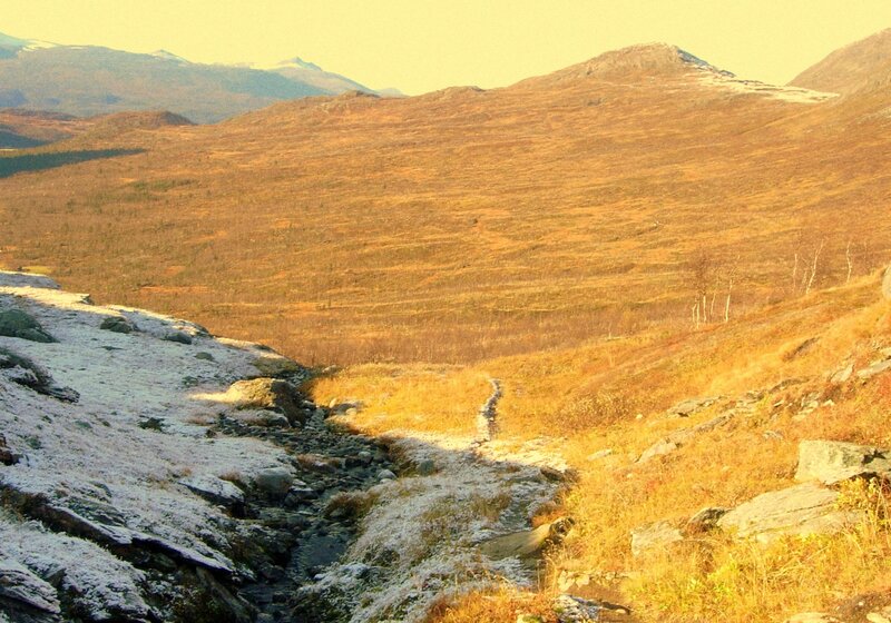 autumn mountain valley with stream