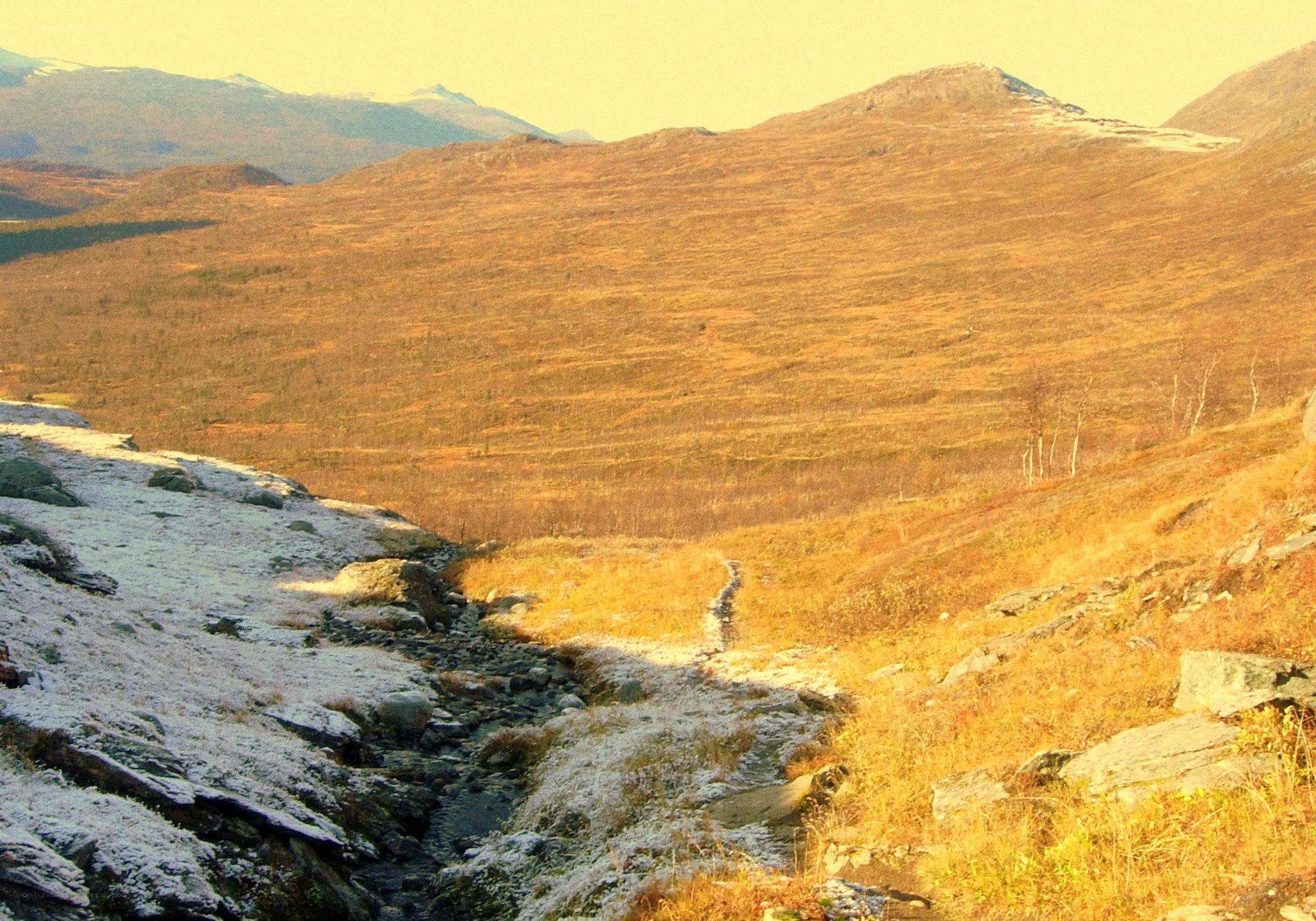 autumn mountain valley with stream