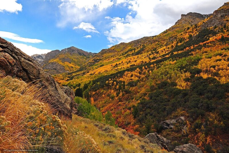 Autumn Mountain Valley — Yellow, Serene, Photograph