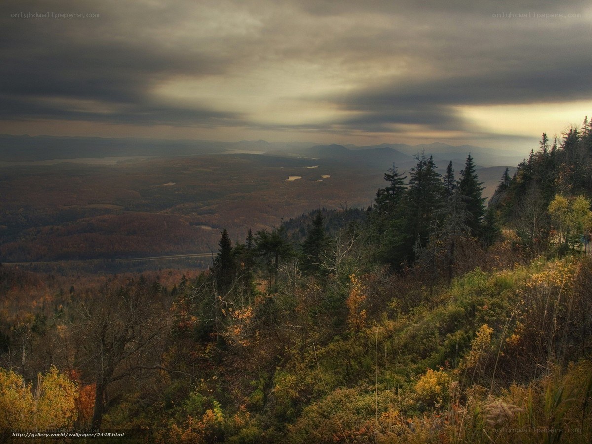 Autumn mountain vista
