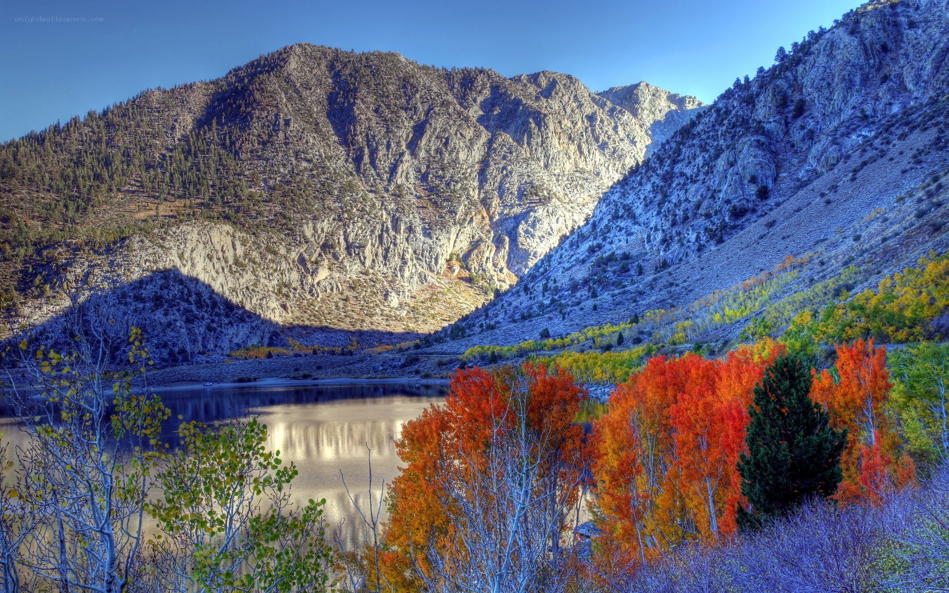 Autumn mountains and lake