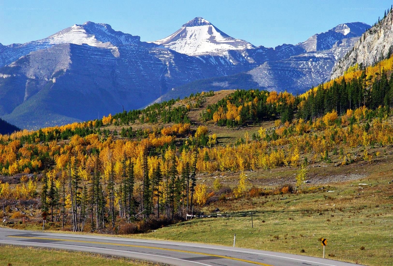 Autumn mountains and road