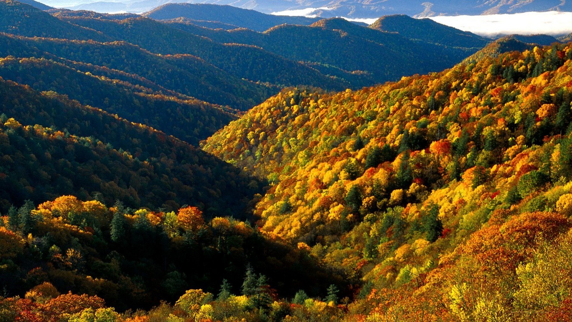 Autumn mountains landscape