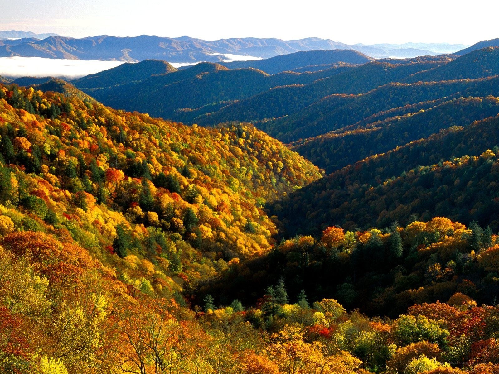Autumn mountains landscape