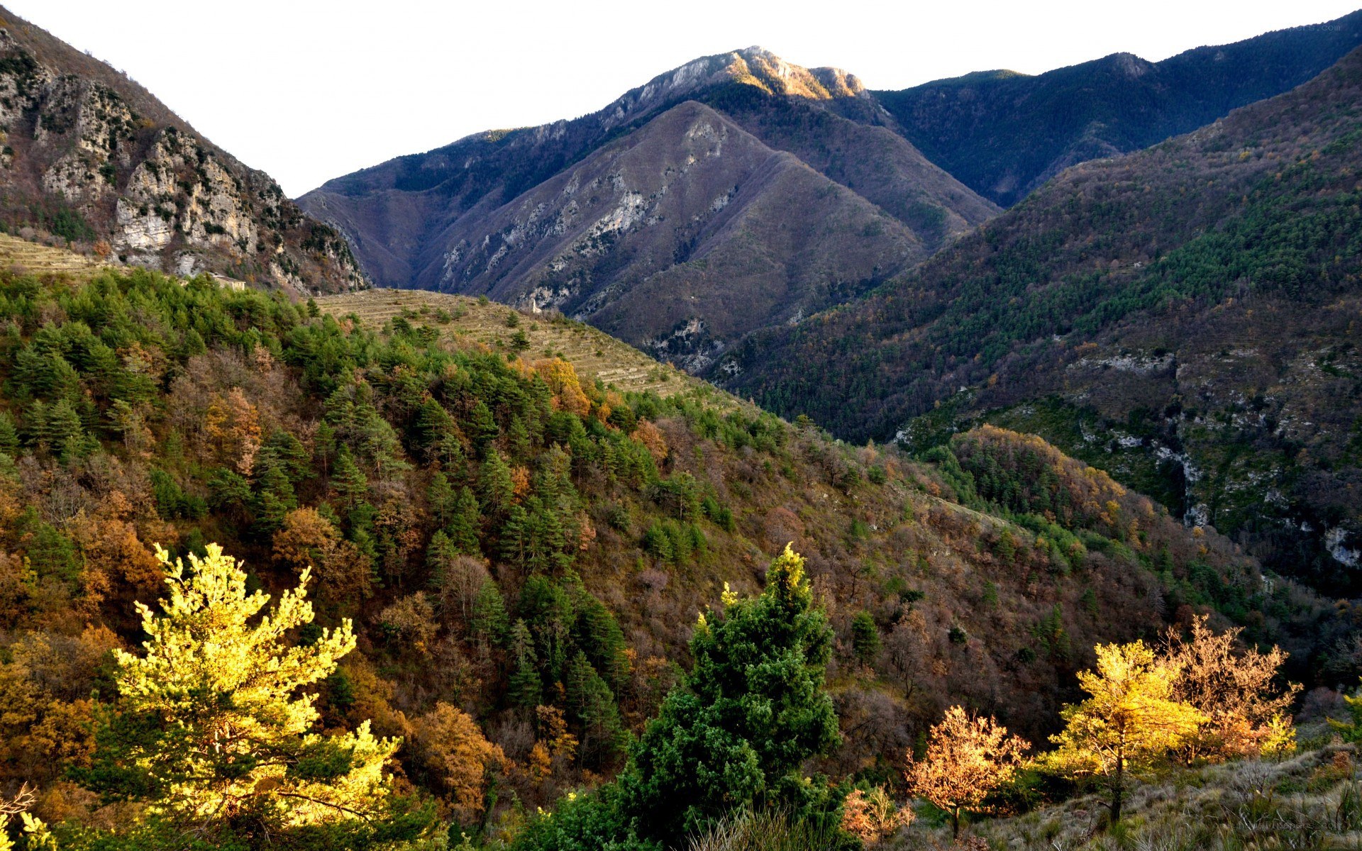 Autumn mountains landscape