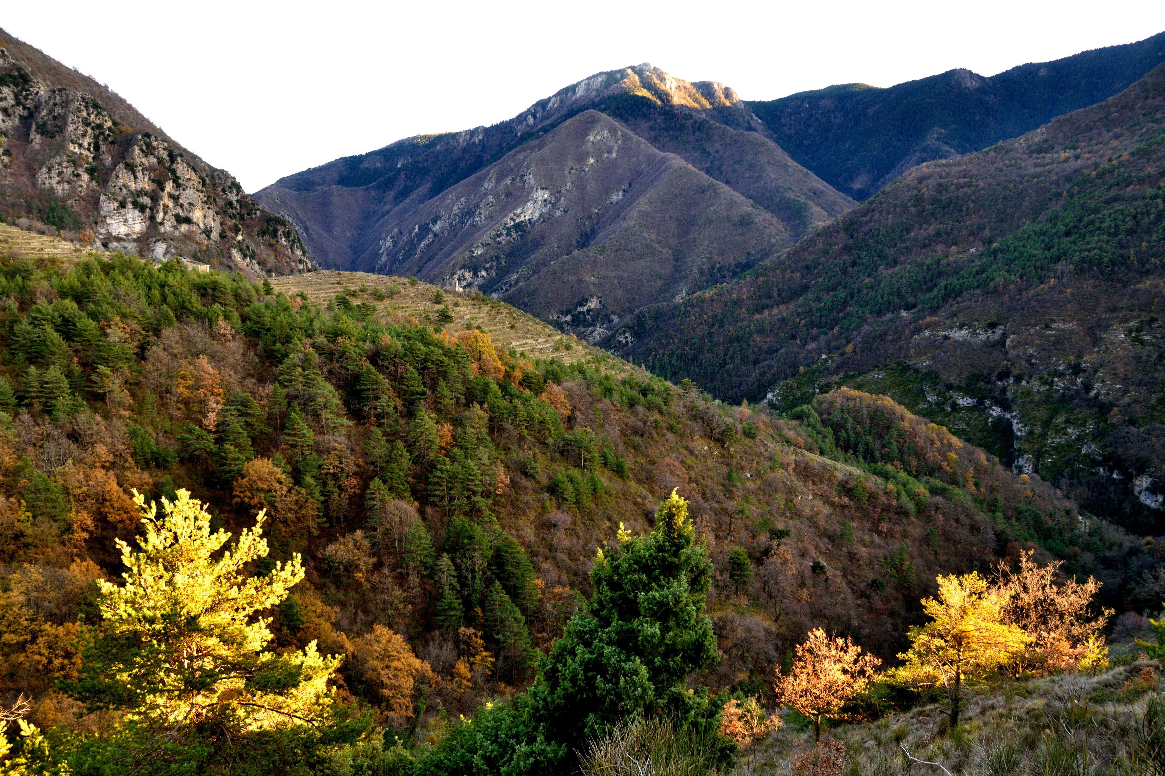 autumn mountains landscape