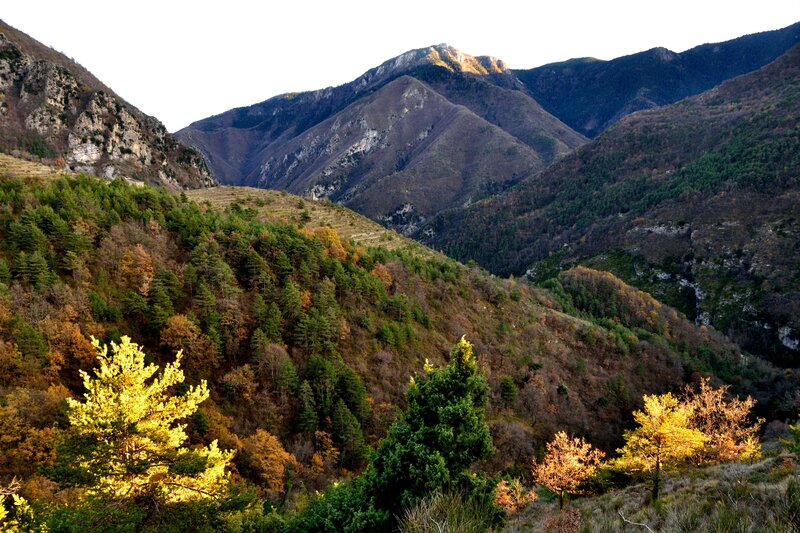 autumn mountains landscape