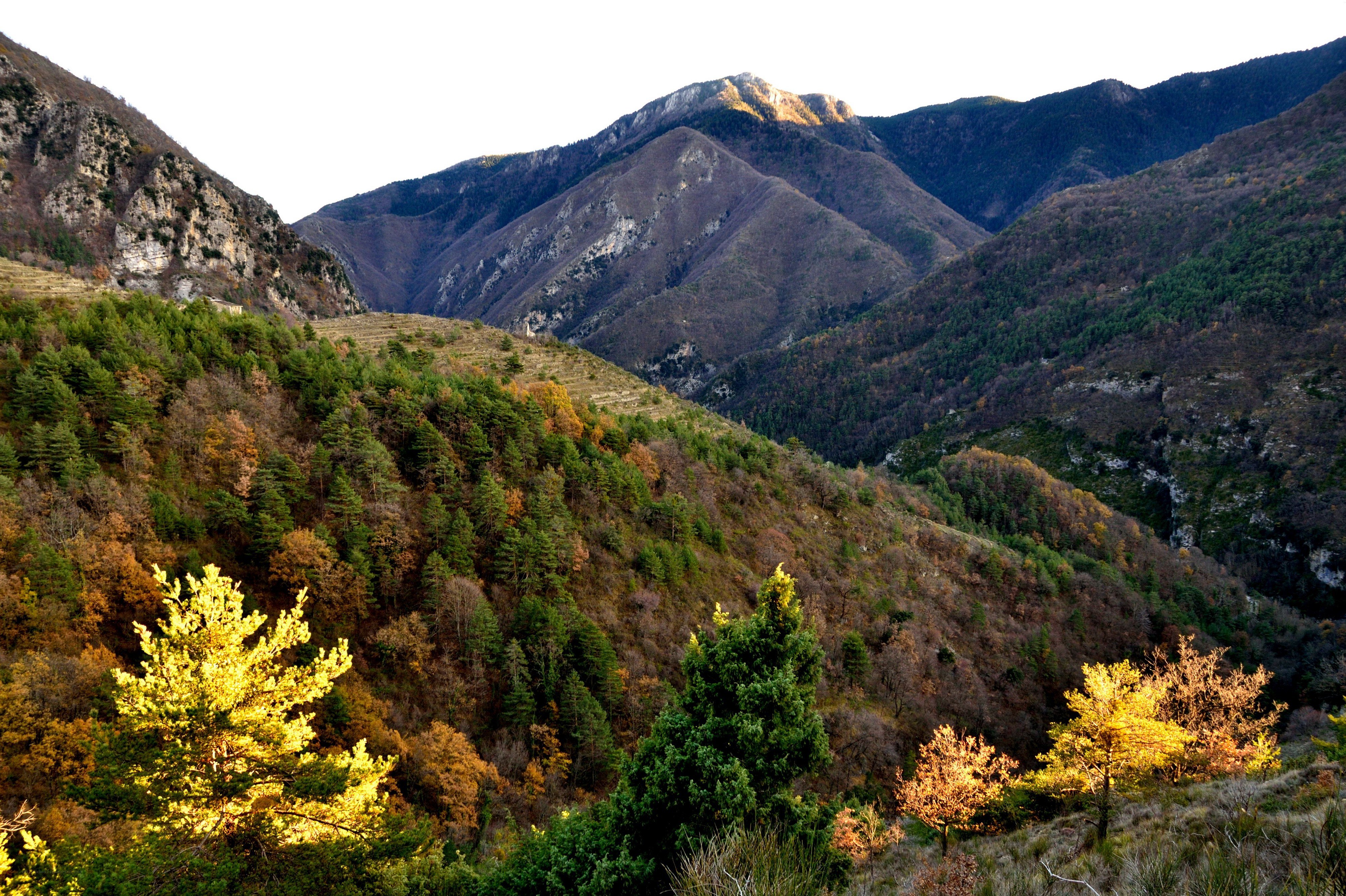 autumn mountains landscape