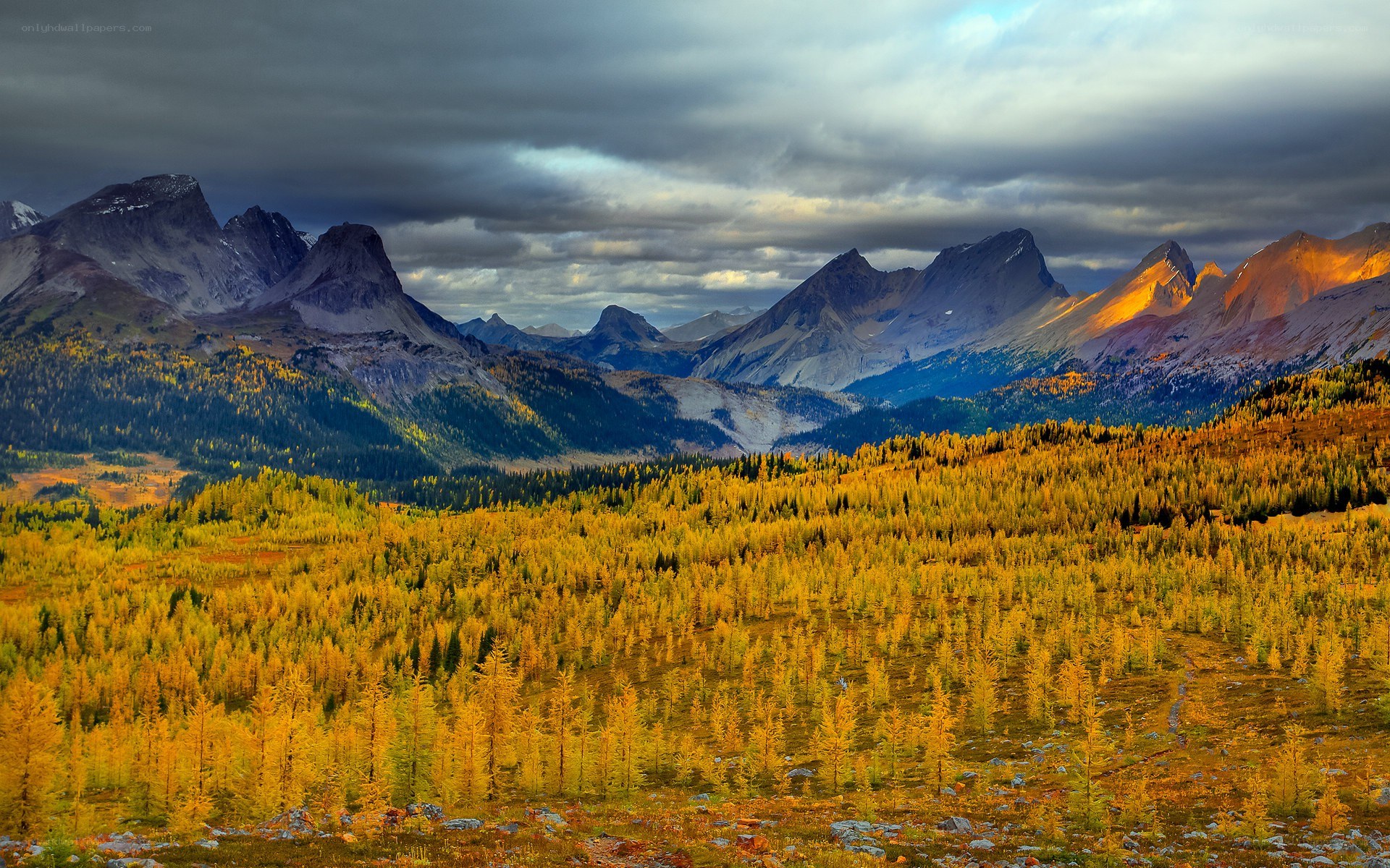 Autumn mountains landscape