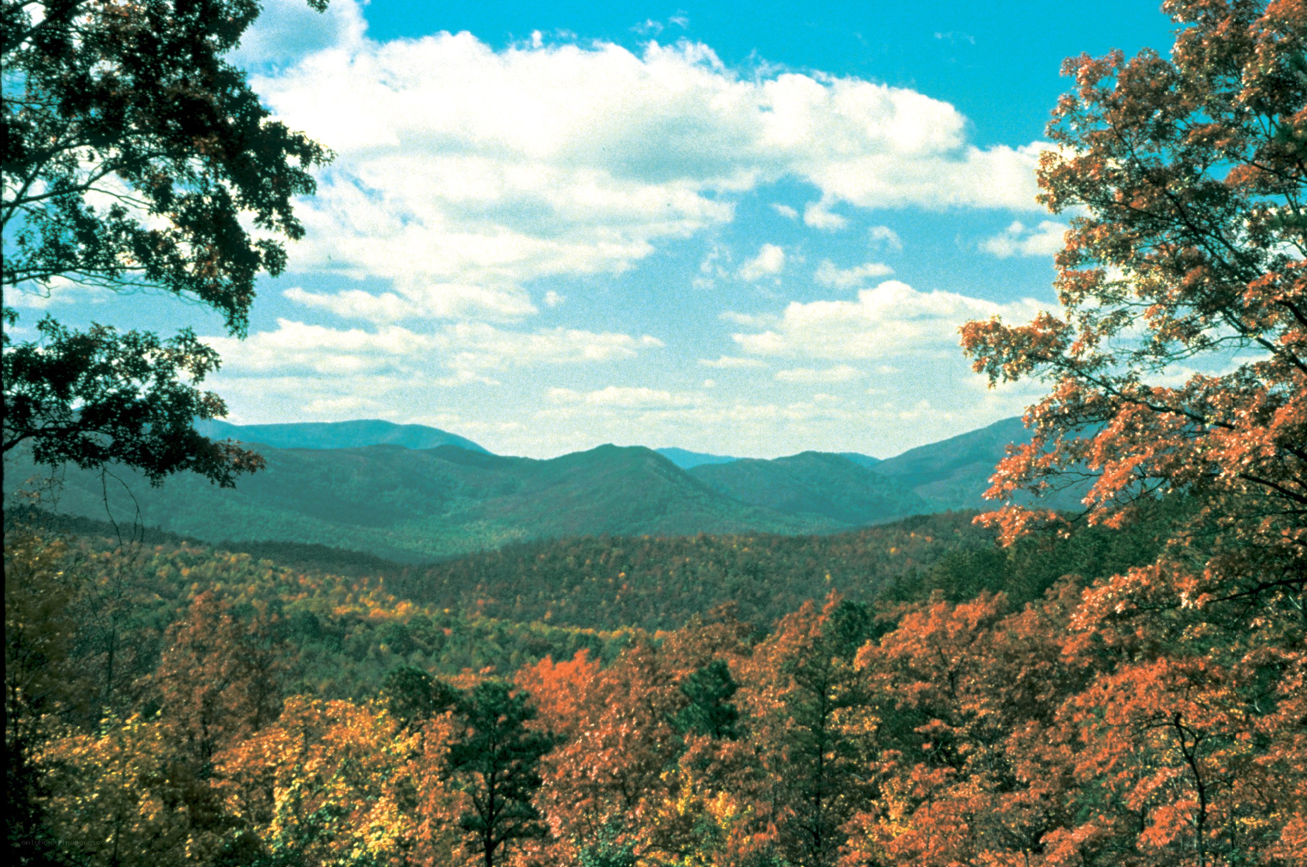 autumn mountains landscape