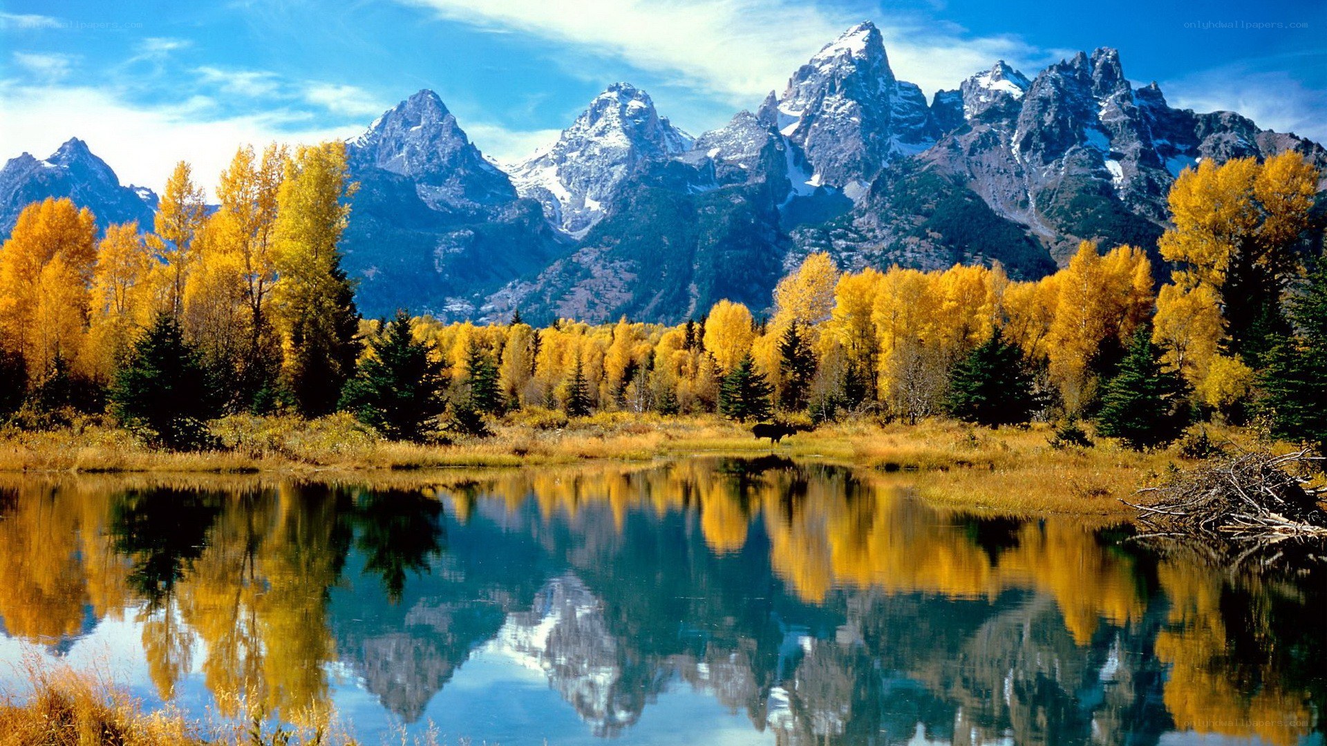 Autumn mountains reflected in a lake