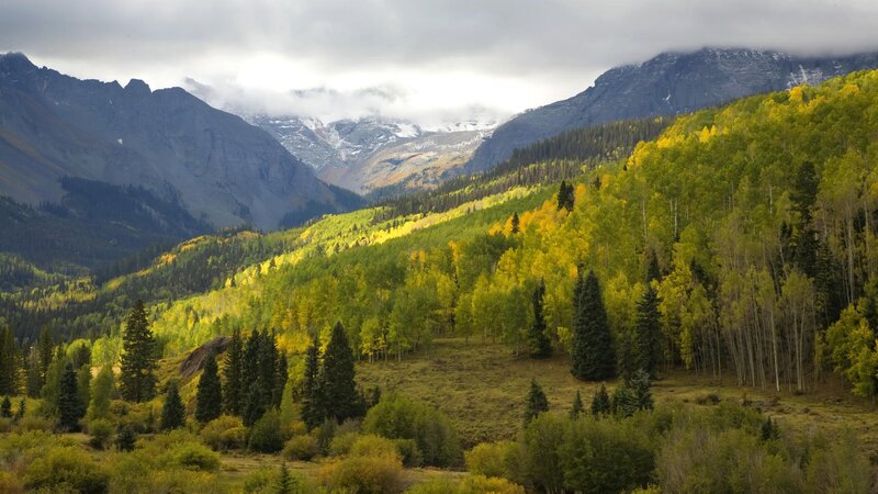autumn mountains with aspen trees