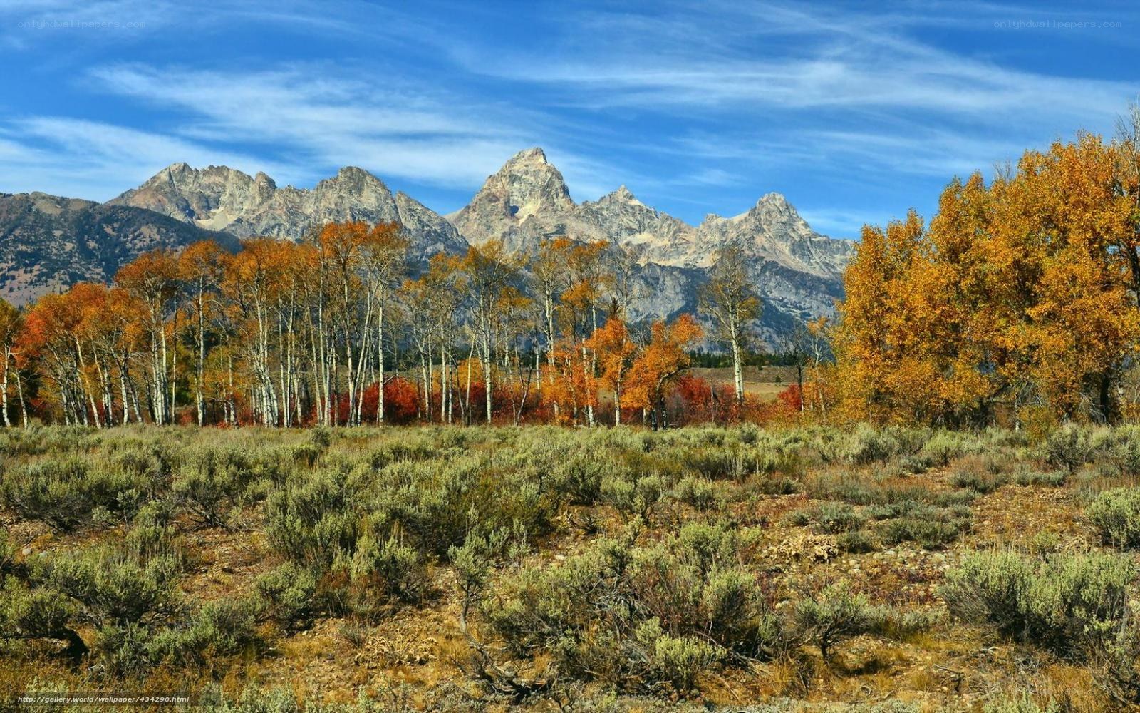 Autumn mountains with aspen trees
