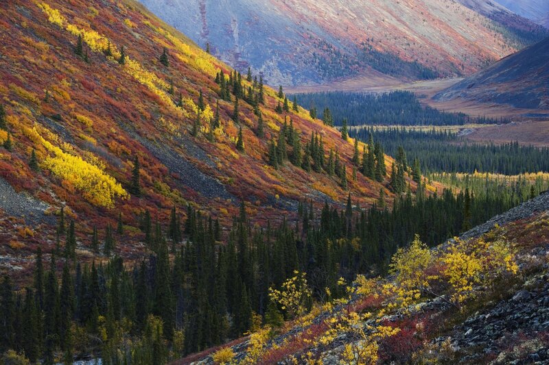 Autumn mountains with colorful foliage