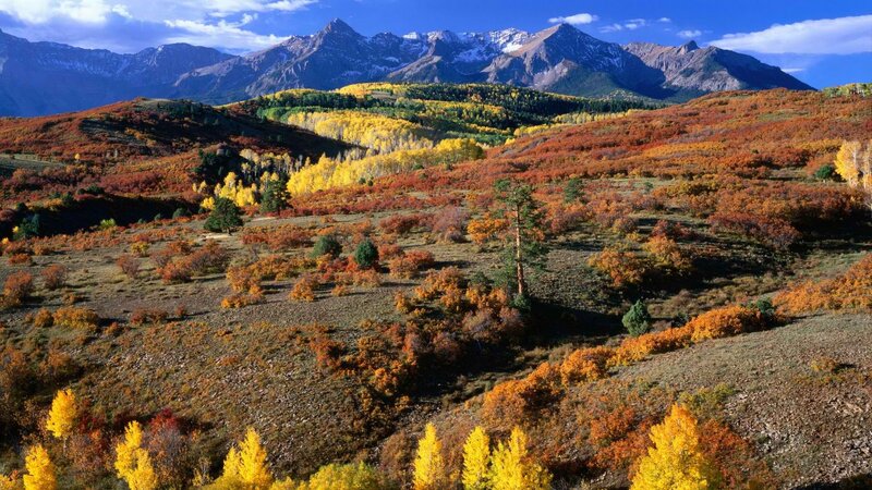 Autumn mountains with colorful foliage