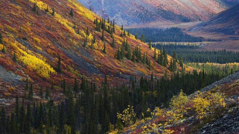 autumn mountains with colorful foliage