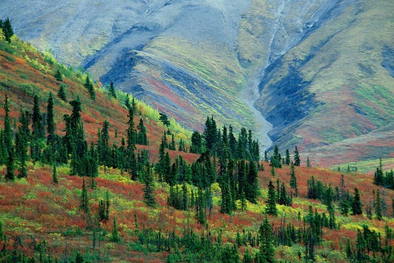 Autumn mountains with colorful foliage