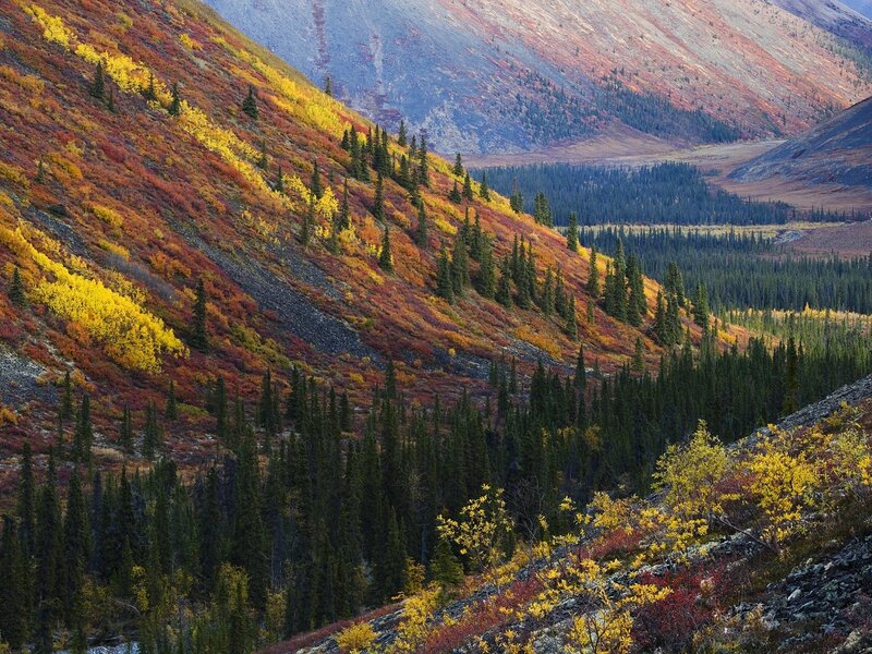 Autumn mountains with colorful foliage