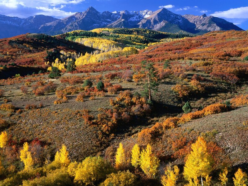 Autumn mountains with colorful foliage