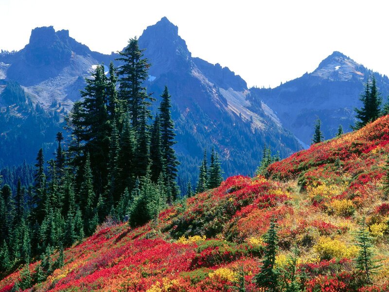 Autumn mountains with colorful foliage
