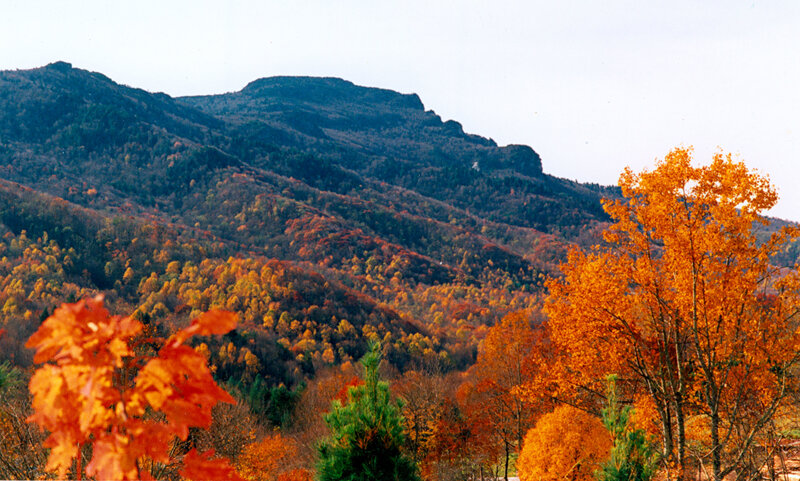 Autumn mountains with colorful trees
