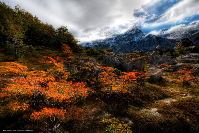 Autumn mountains with colorful trees