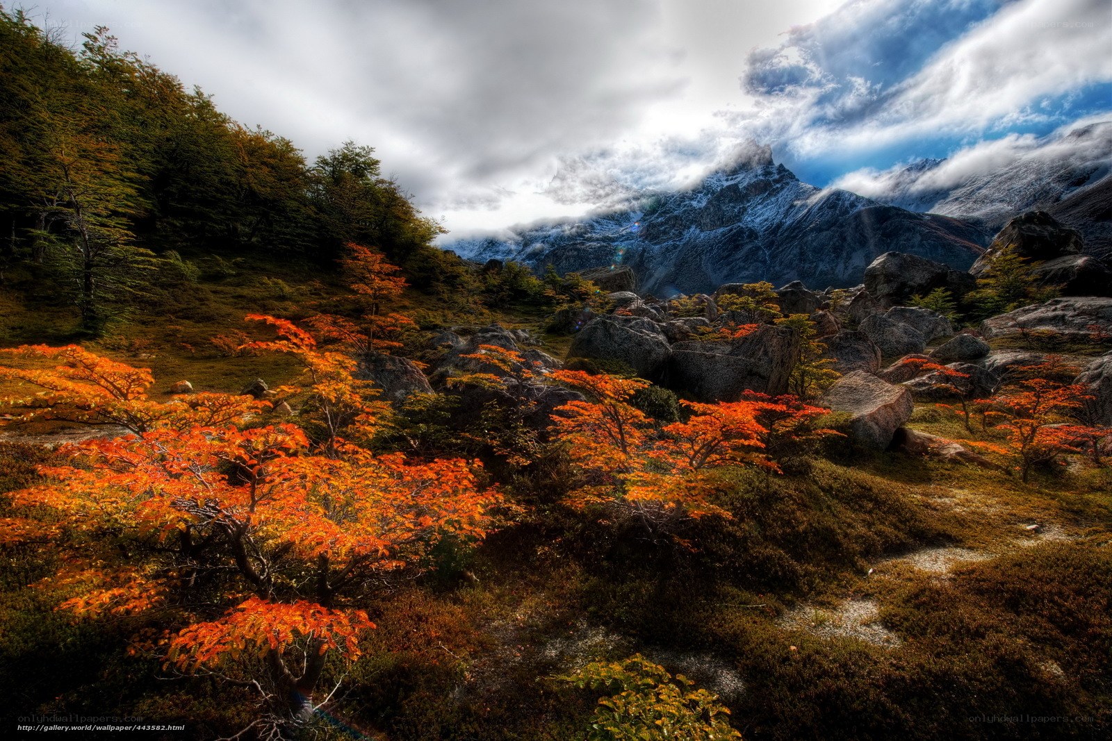 Autumn mountains with colorful trees