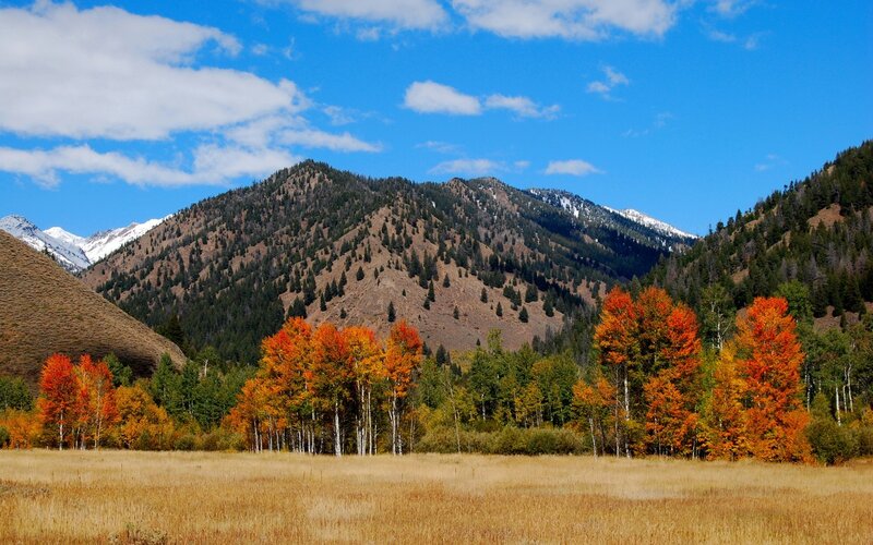 Autumn mountains with colorful trees