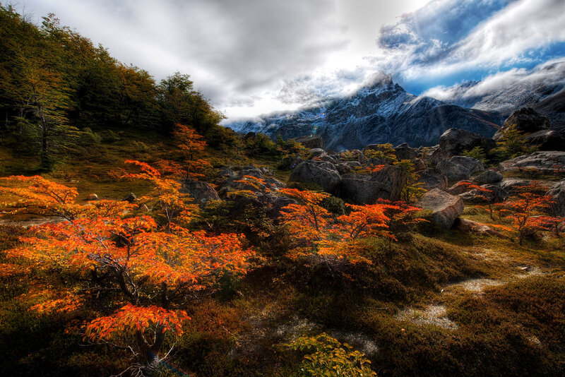 Autumn mountains with colorful trees