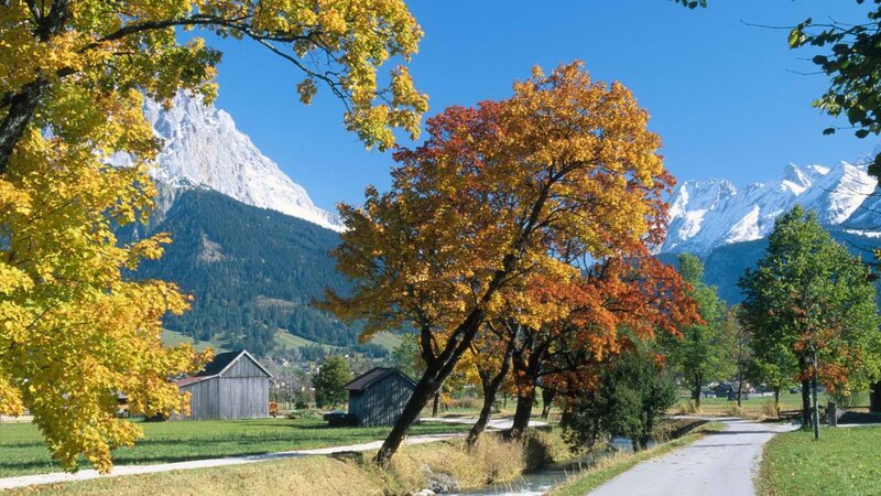 Autumn mountains with colorful trees