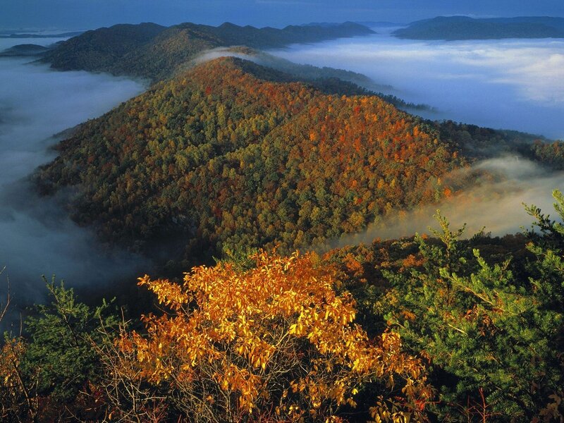 Autumn mountains with fog