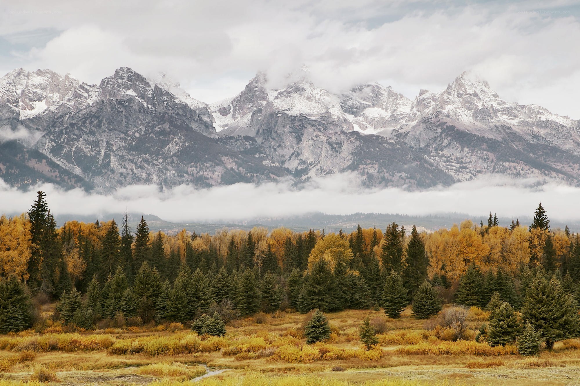 autumn mountains with fog