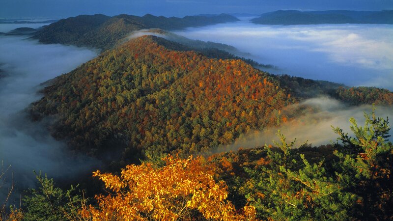 Autumn mountains with fog