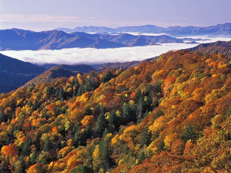 Autumn mountains with fog