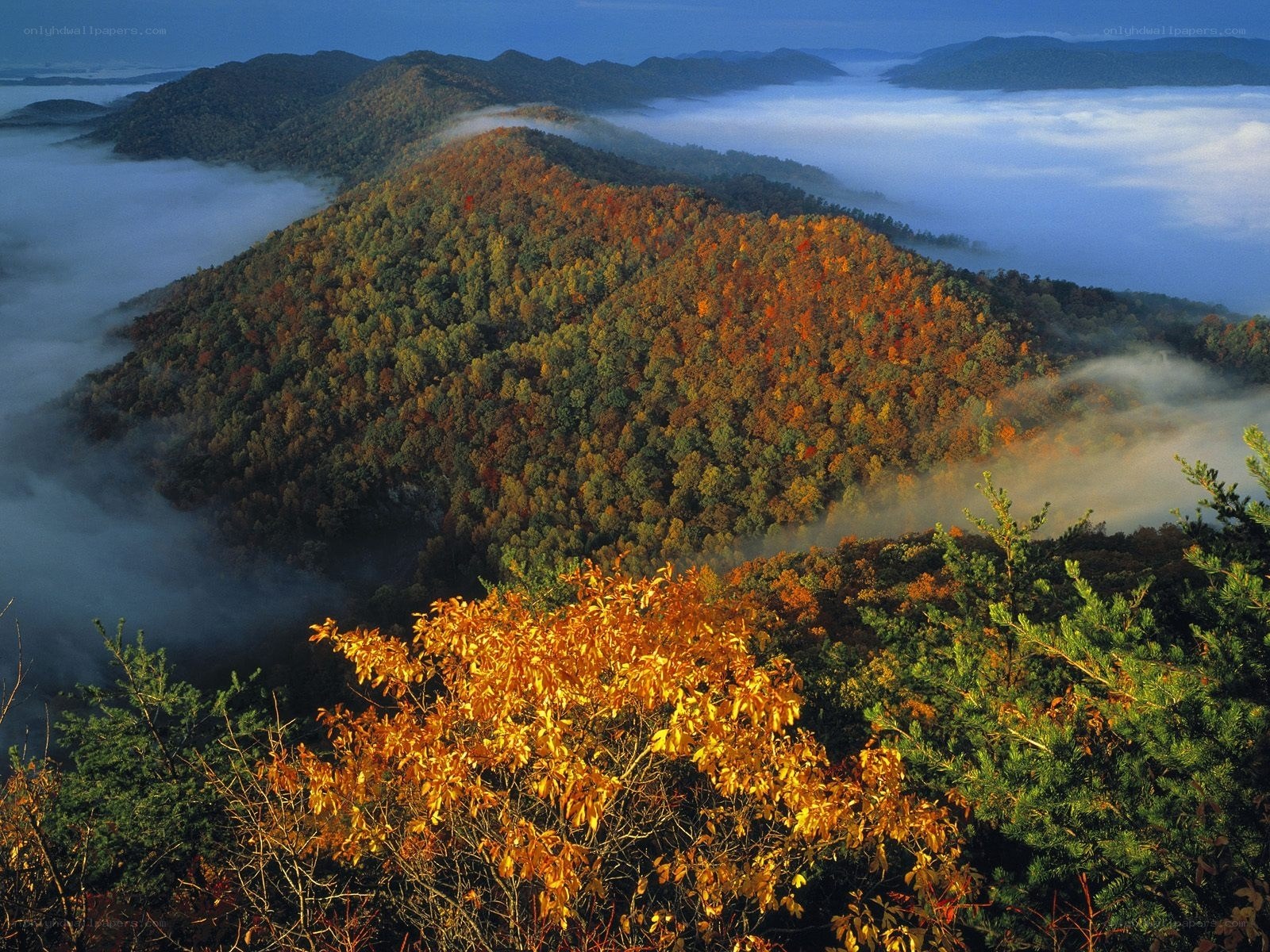 Autumn mountains with fog