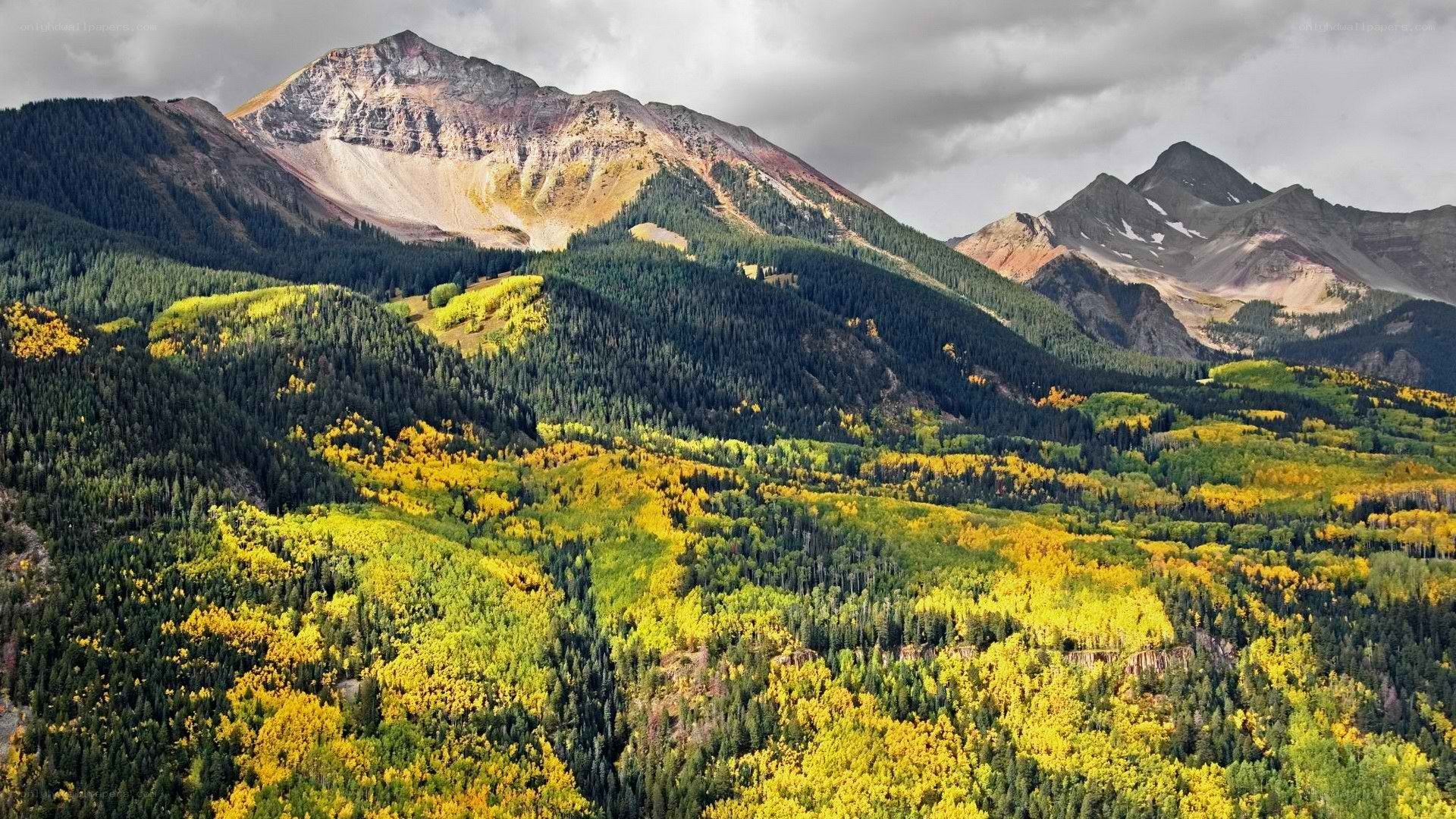 autumn mountains with forest