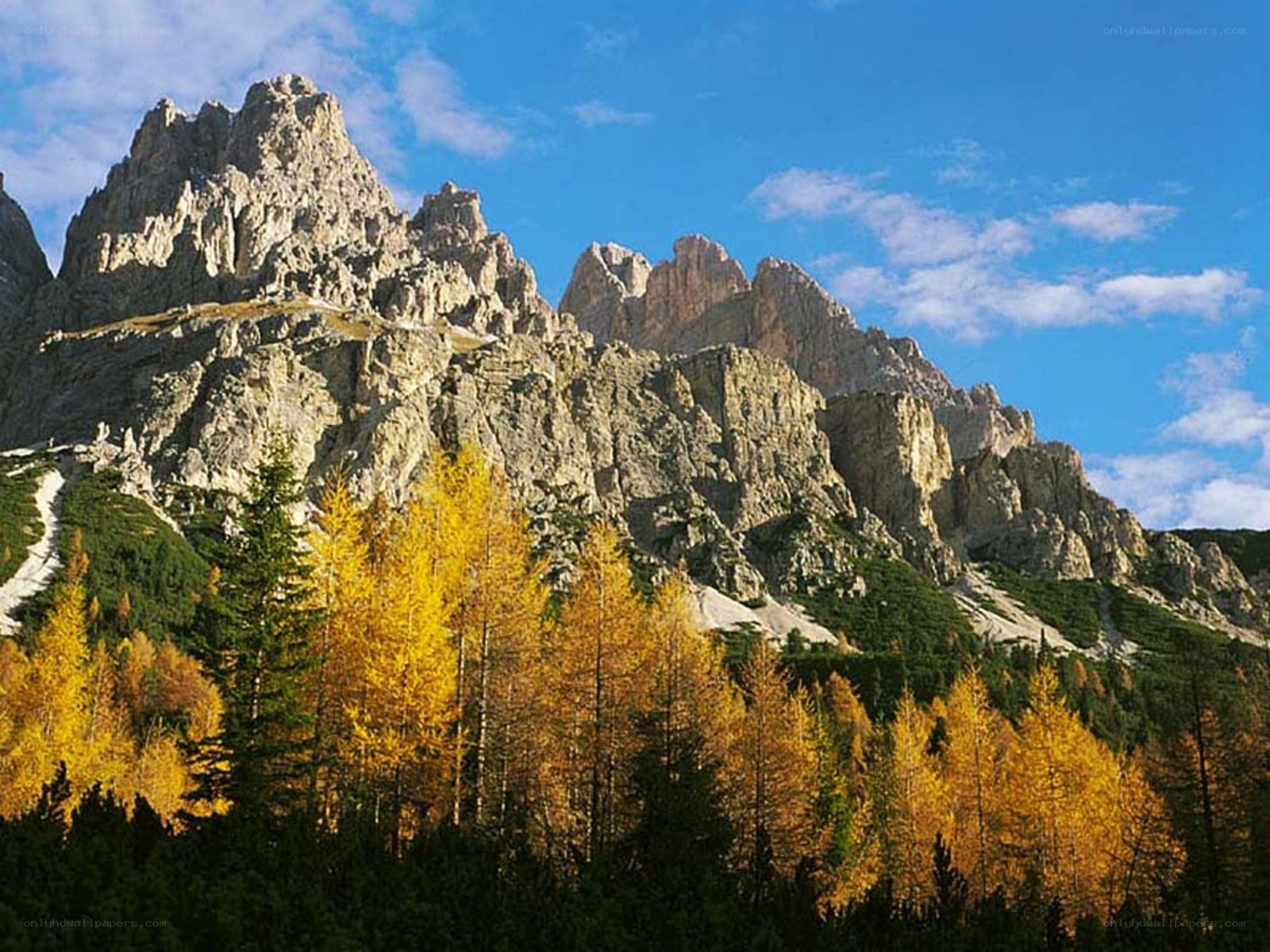 Autumn mountains with golden trees