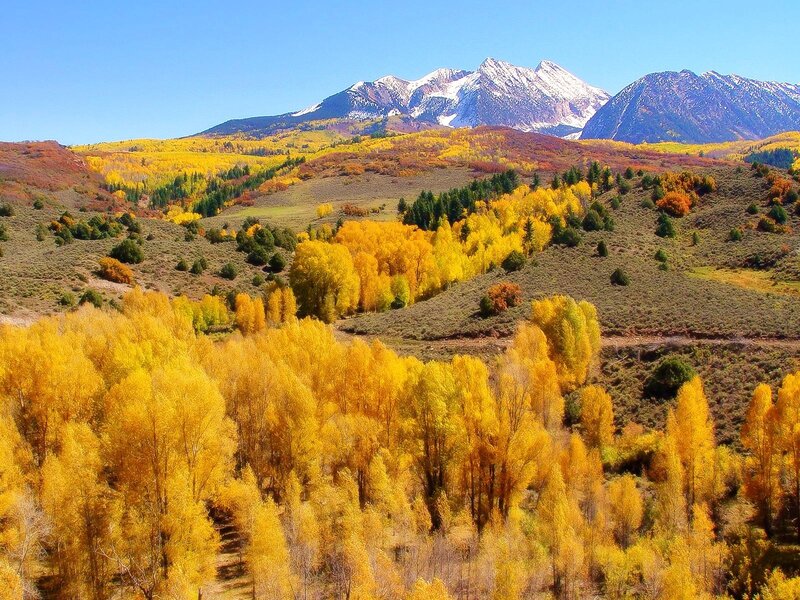 Autumn mountains with golden trees