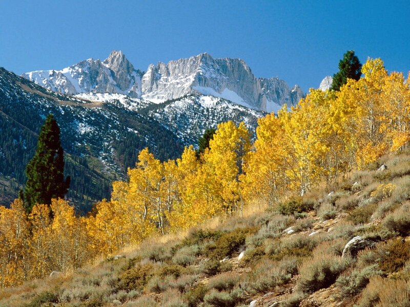 Autumn mountains with golden trees