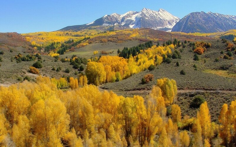 Autumn mountains with golden trees
