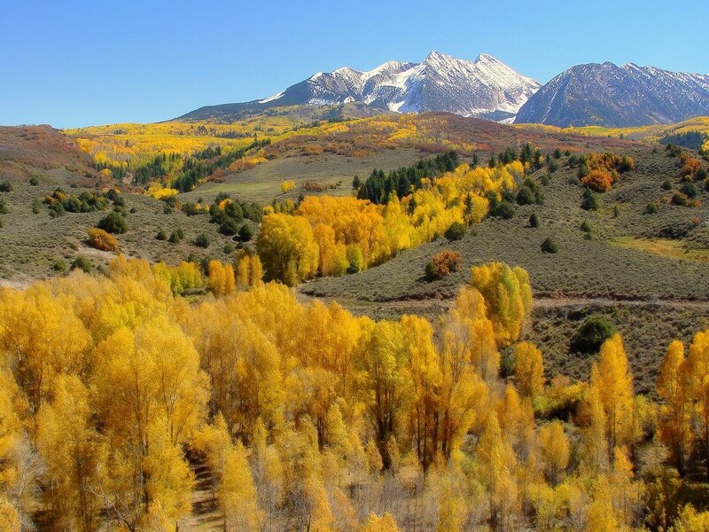 Autumn mountains with golden trees