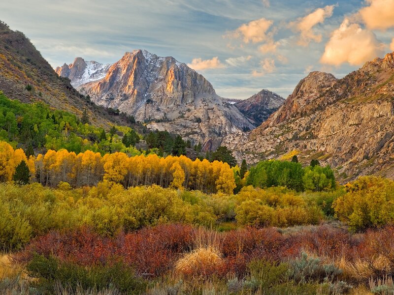 Autumn mountains with golden trees