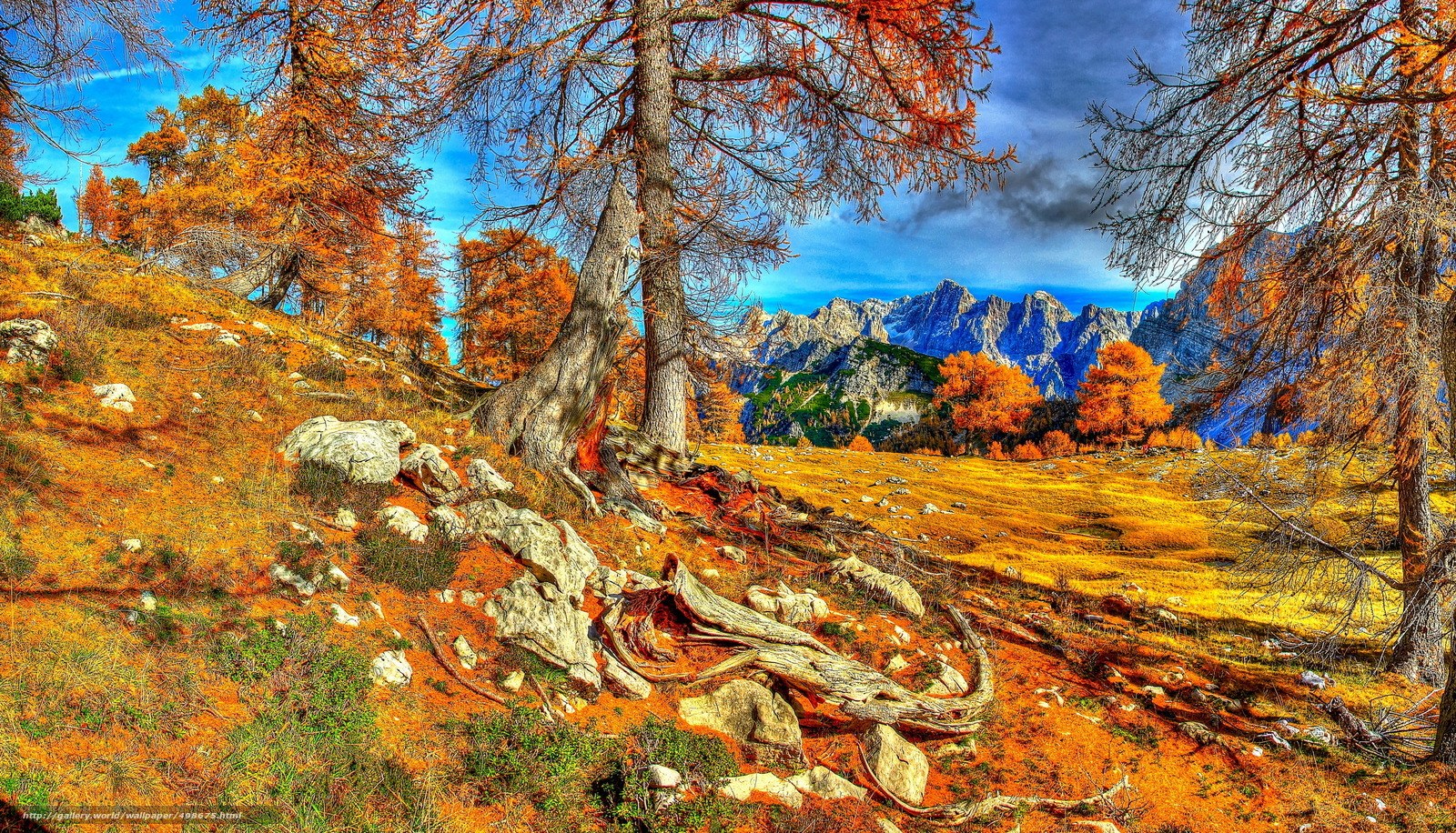 Autumn mountains with larch trees