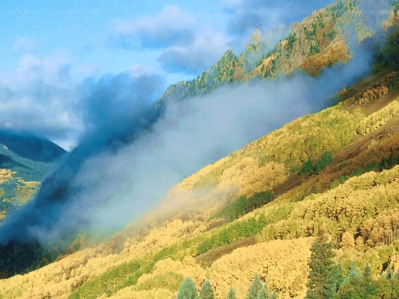 Autumn mountains with mist
