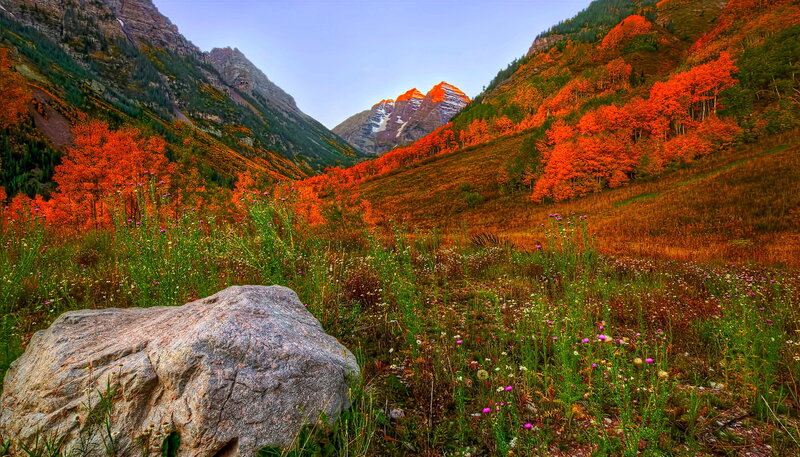 Autumn Mountains with Red Trees