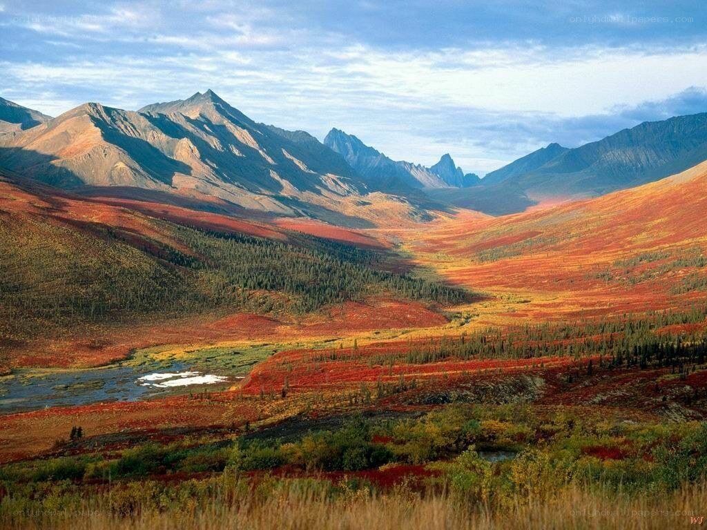 autumn mountains with river