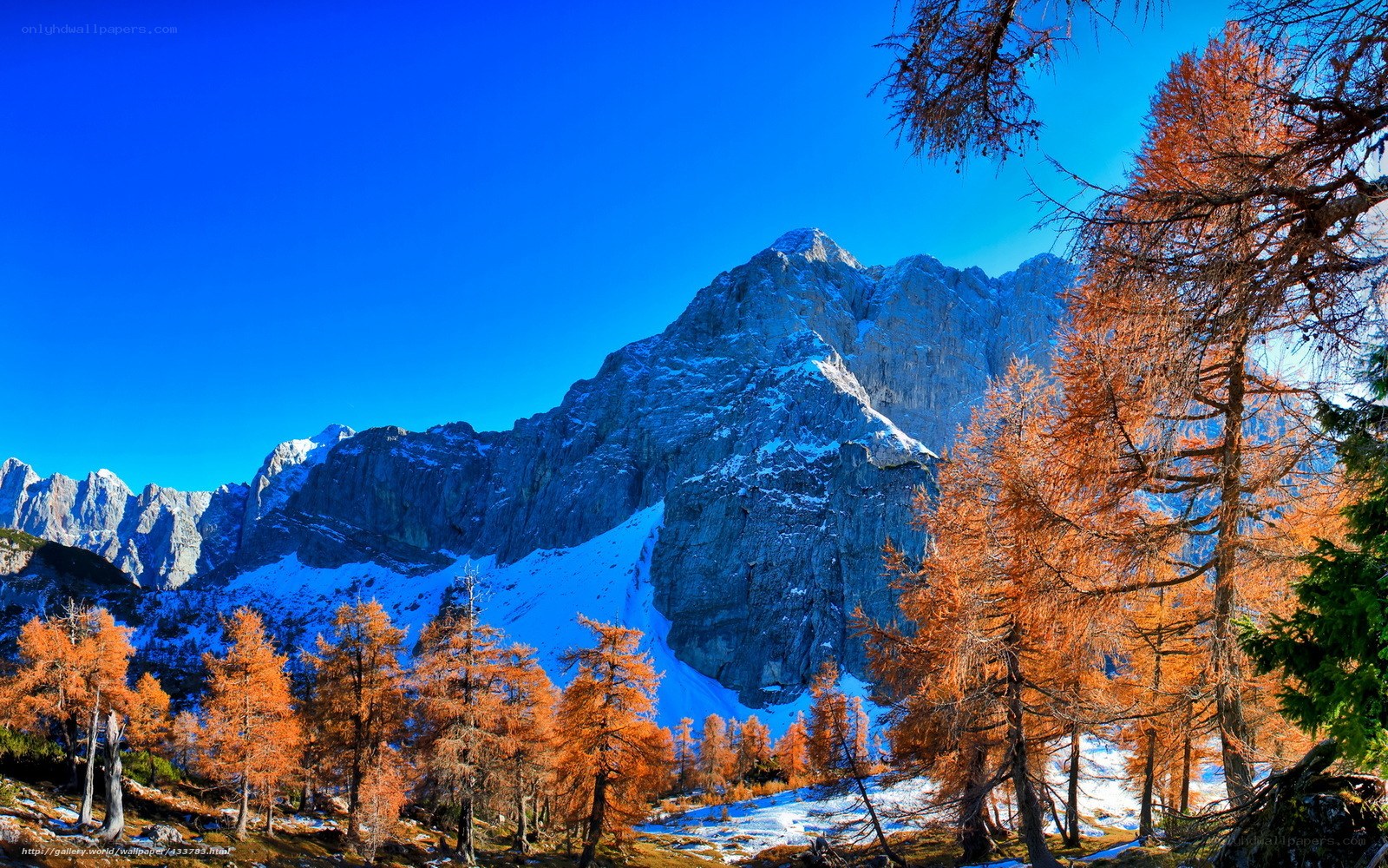Autumn mountains with snow
